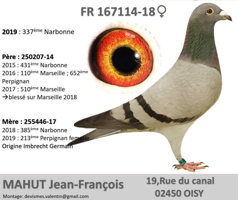 167114