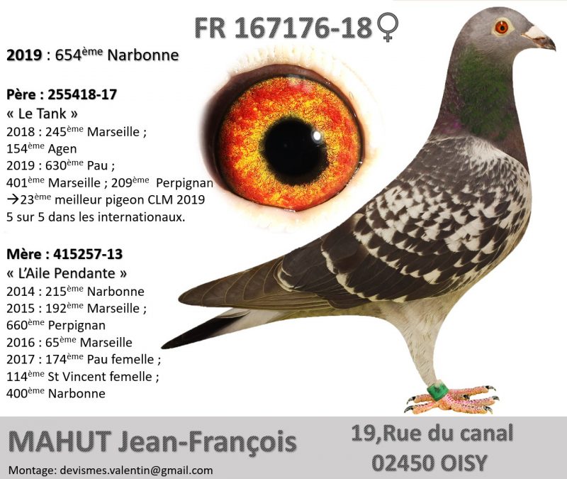 167176