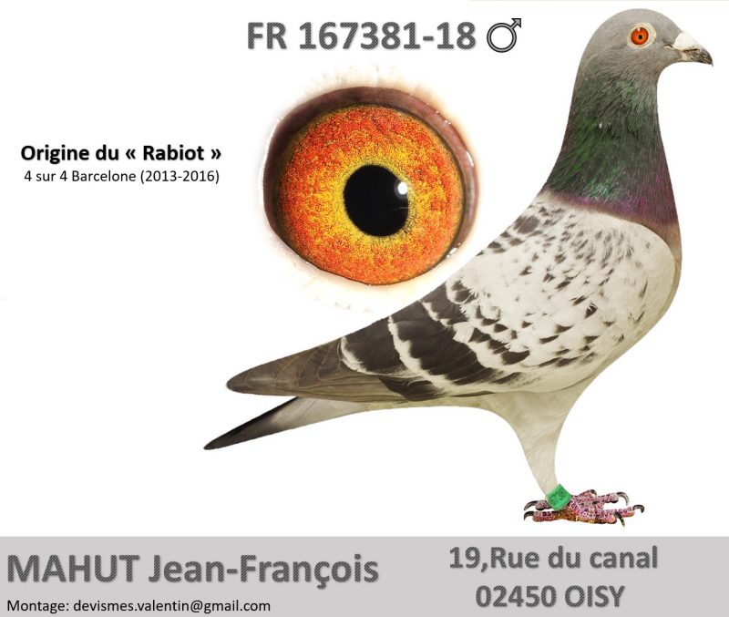 167381