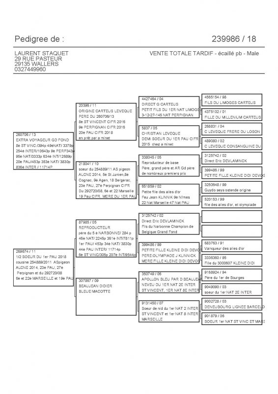 239986 PEDIGREE