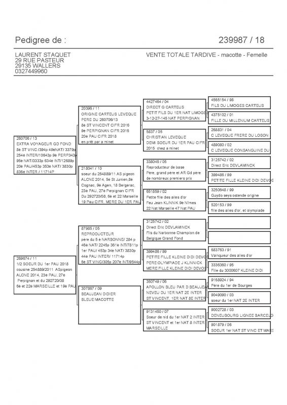 239987 PEDIGREE