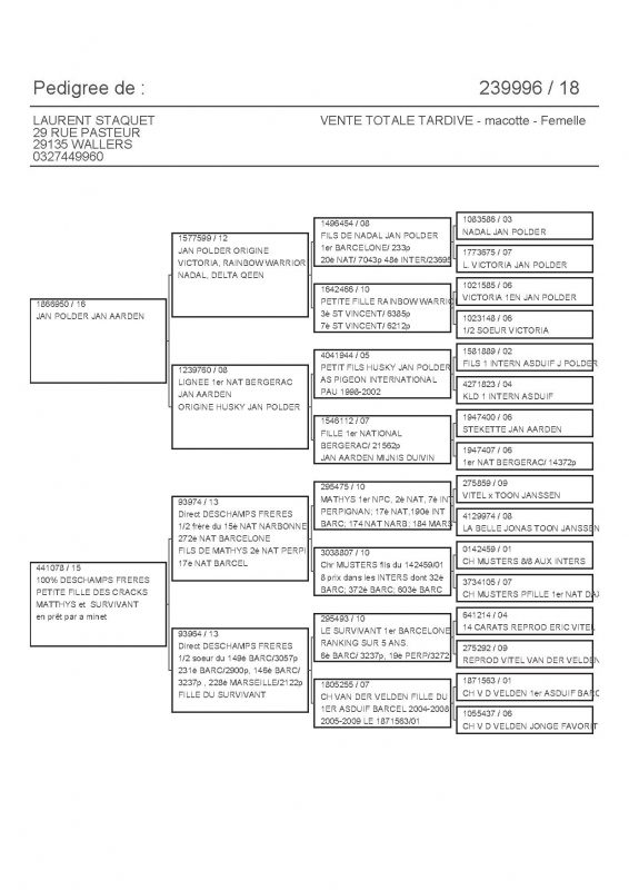 239996 PEDIGREE