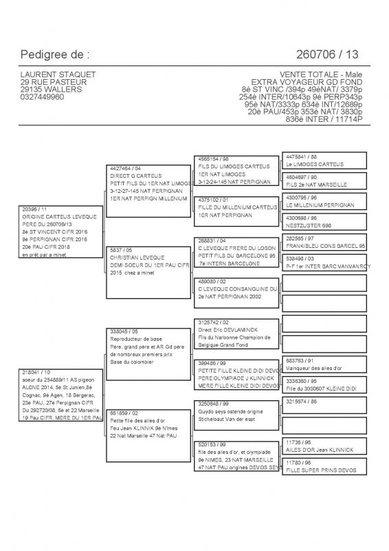 260706 PEDIGREE