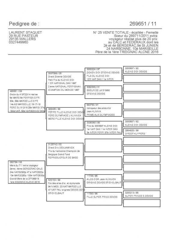 269651 PEDIGREE