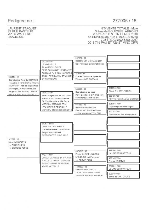 277005 PEDIGREE