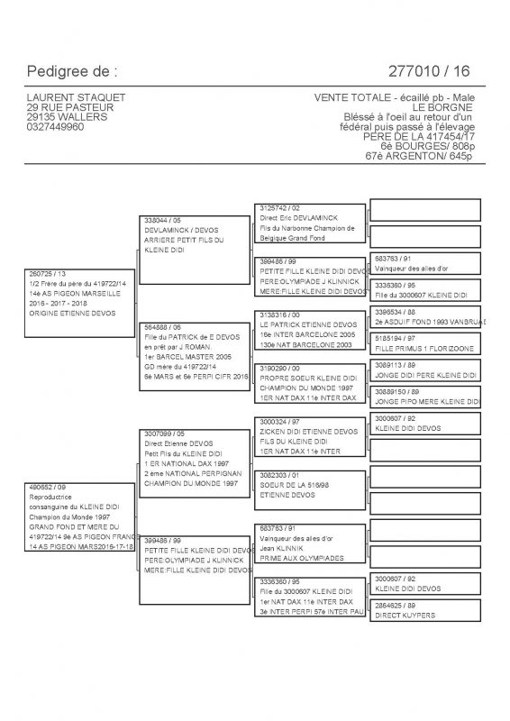 277010 PEDIGREE