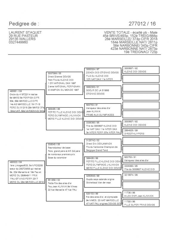 277012 PEDIGREE