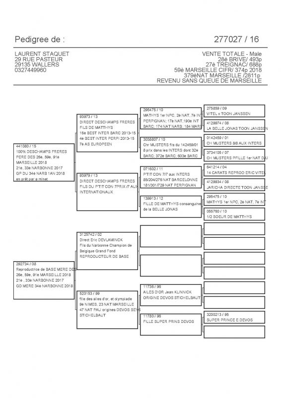 277027 PEDIGREE