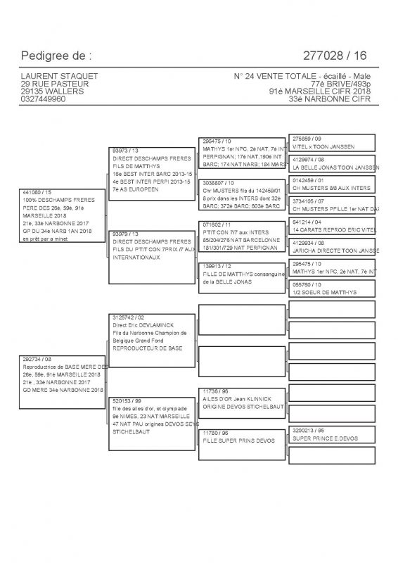 277028 PEDIGREE