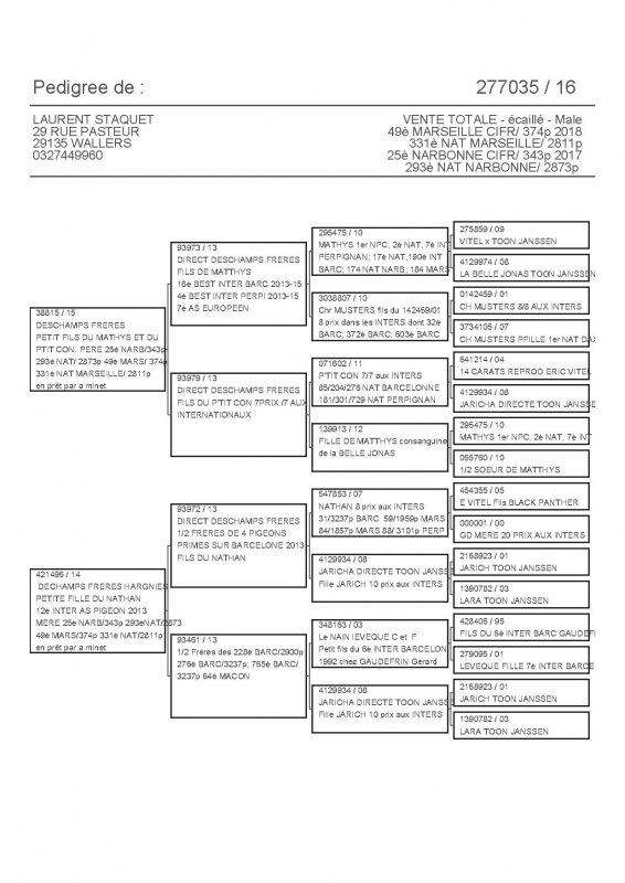 277035 PEDIGREE