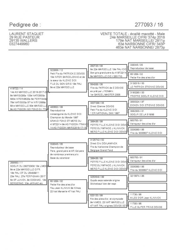 277093 PEDIGREE