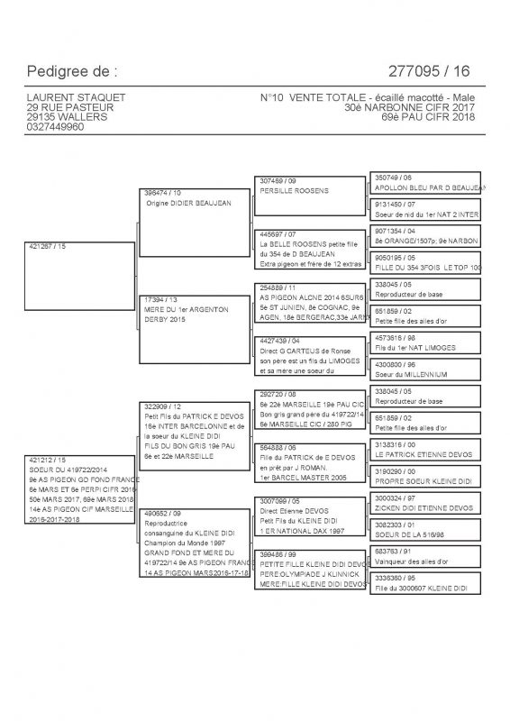 277095 PEDIGREE