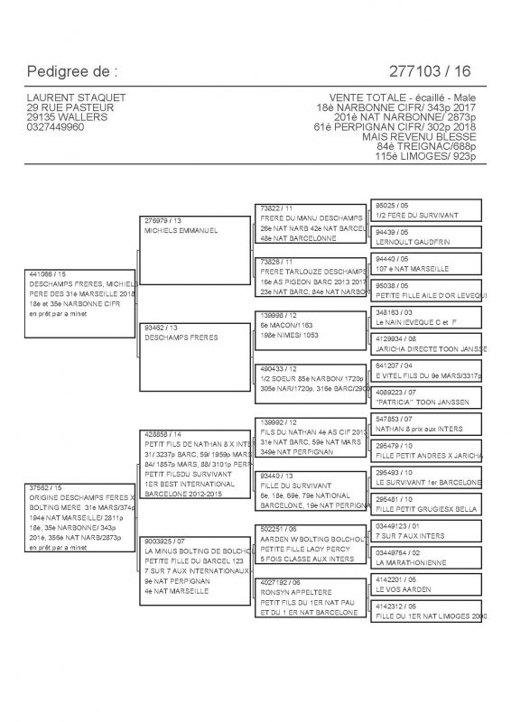 277103 PEDIGREE