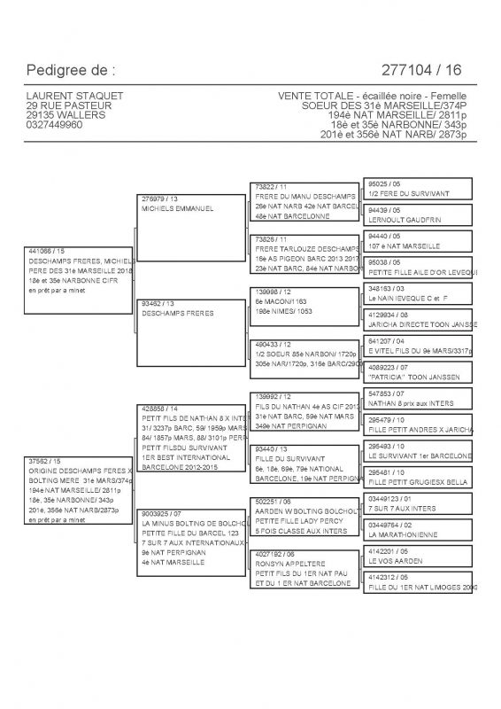 277104 PEDIGREE