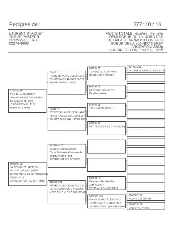 277110 PEDIGREE