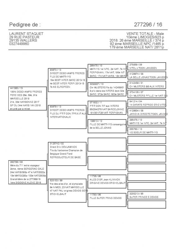 277296 PEDIGREE