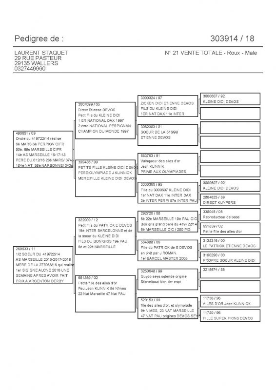 303914 PEDIGREE