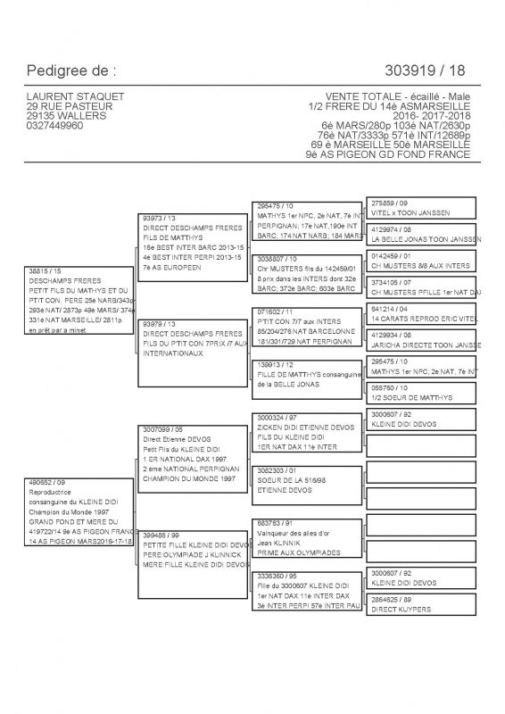 303919 PEDIGREE