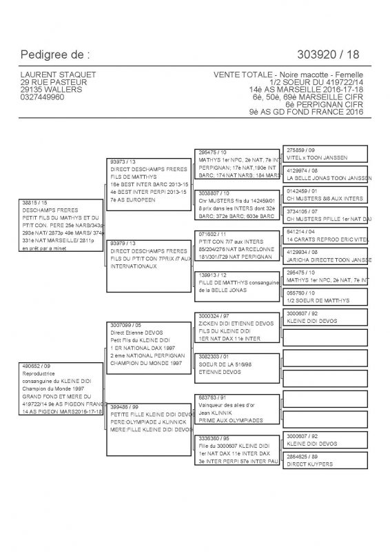 303920 PEDIGREE