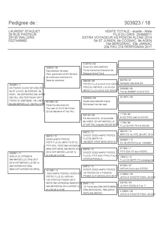 303923 PEDIGREE