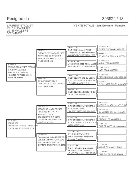 303924 PEDIGREE