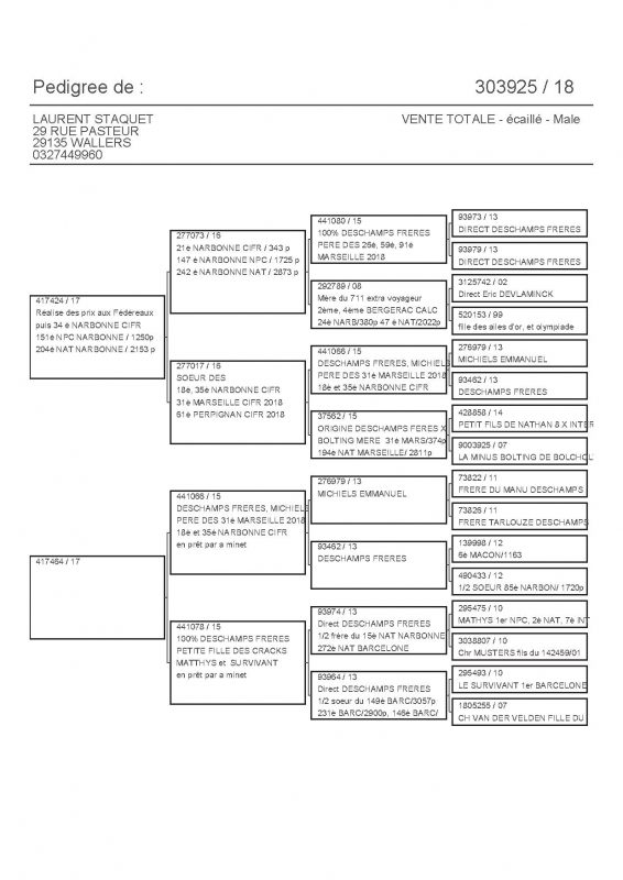 303925 PEDIGREE