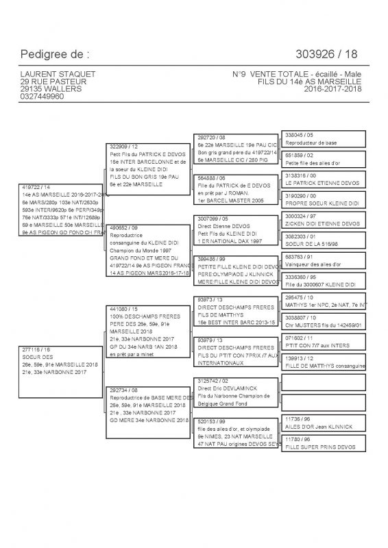 303926 PEDIGREE