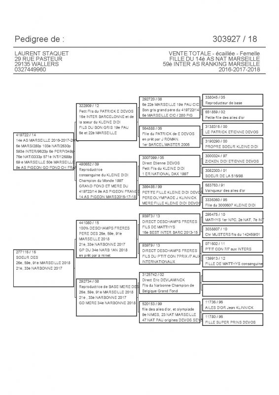 303927 PEDIGREE