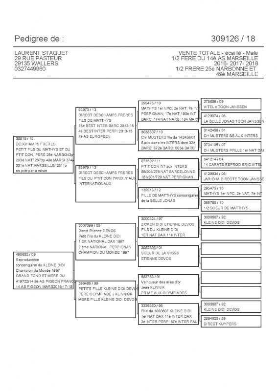 309126 PEDIGREE