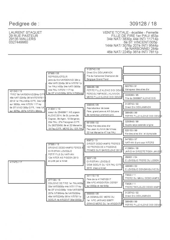 309128 PEDIGREE