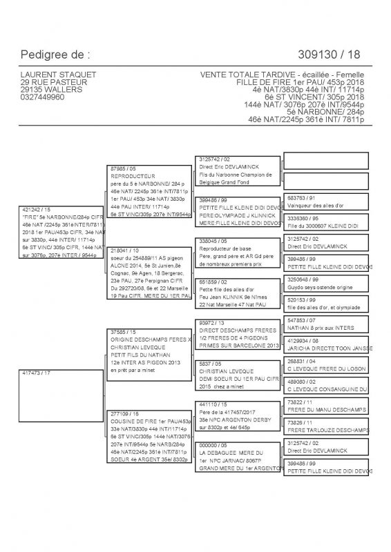 309130 PEDIGREE