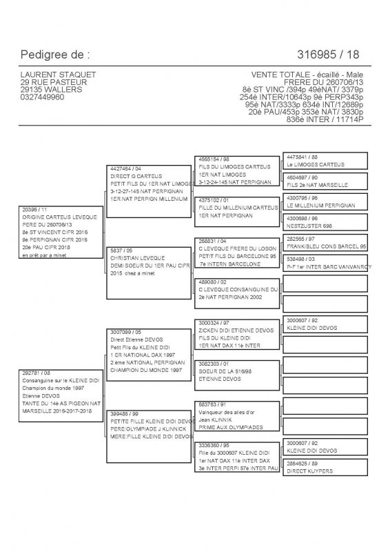 316985 PEDIGREE