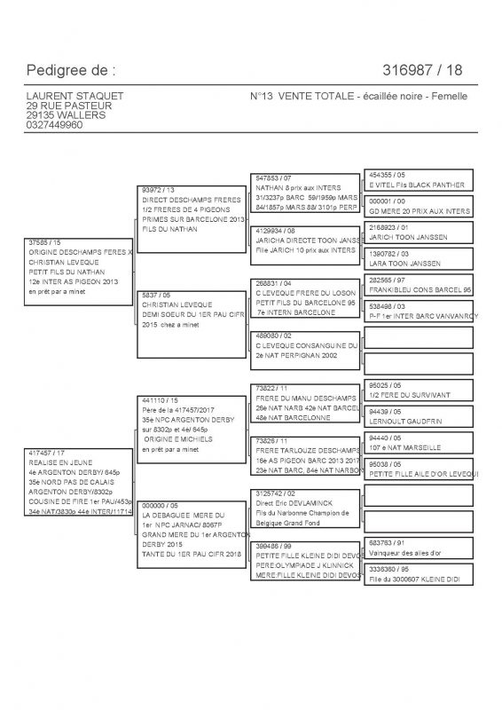 316987 PEDIGREE