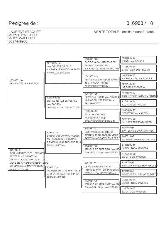 316988 PEDIGREE