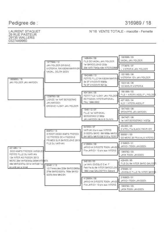 316989 PEDIGREE