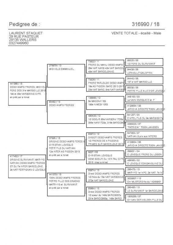 316990 PEDIGREE