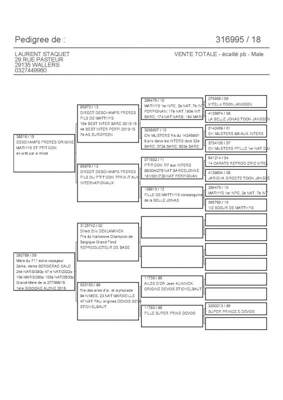 316995 PEDIGREE