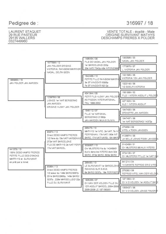 316997 PEDIGREE