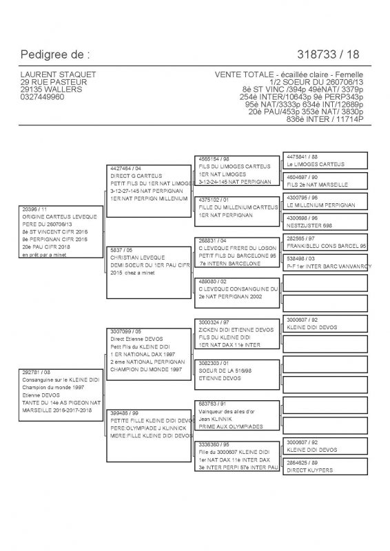 318733 PEDIGREE