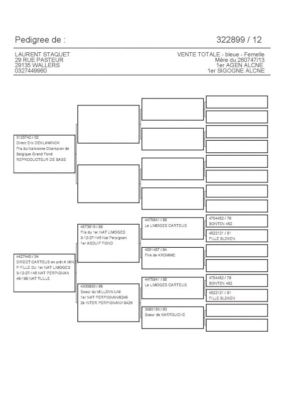 322899 PEDIGREE