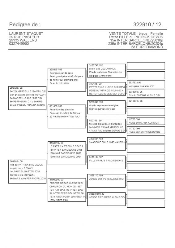 322910 PEDIGREE