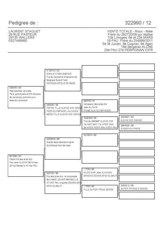 322990 PEDIGREE