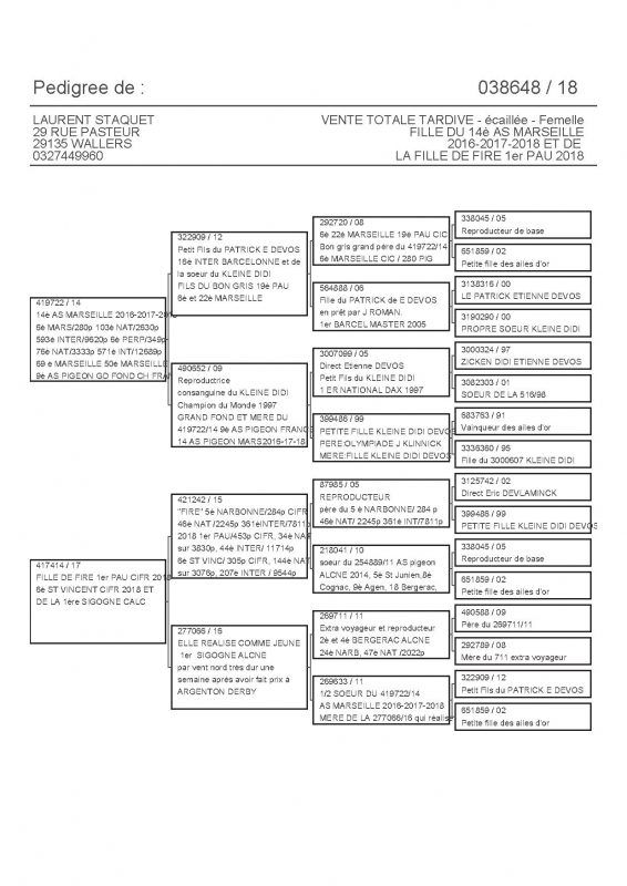 38648 PEDIGREE