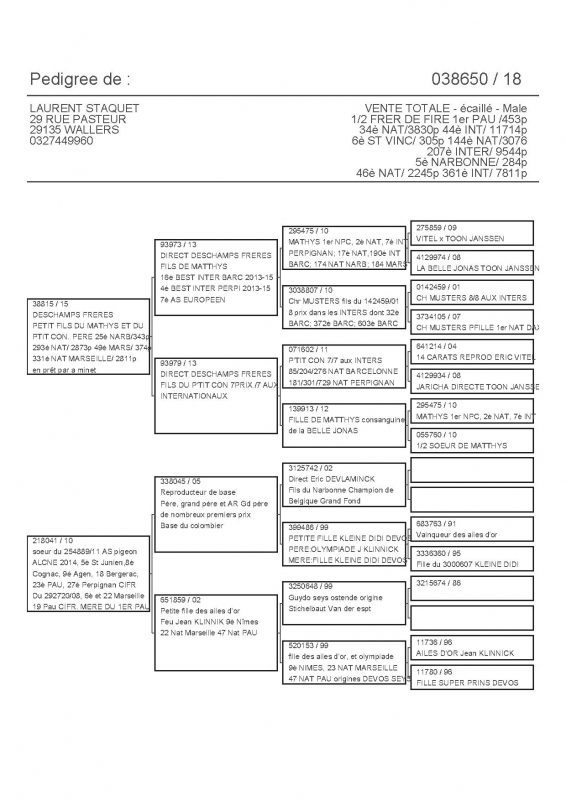 38650 PEDIGREE