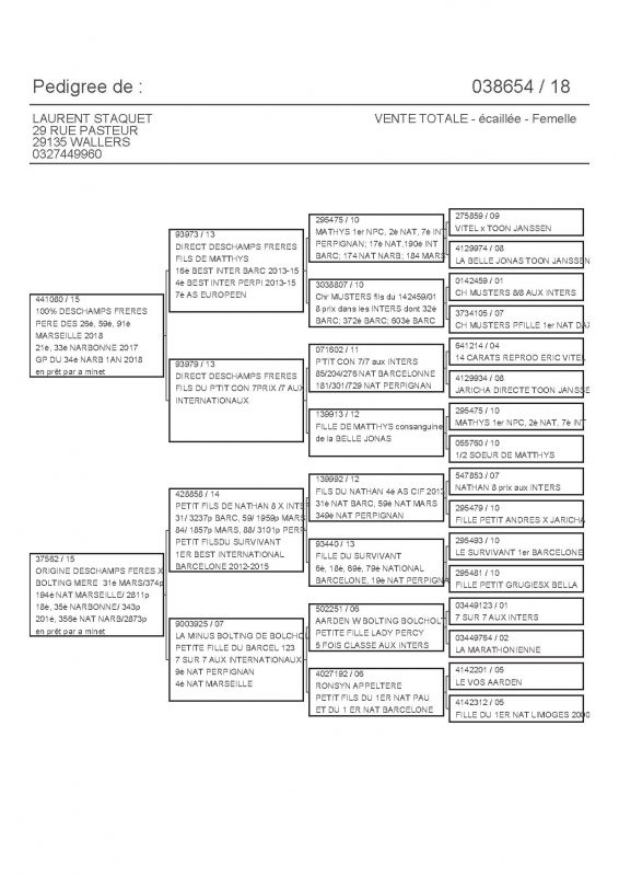 38654 PEDIGREE