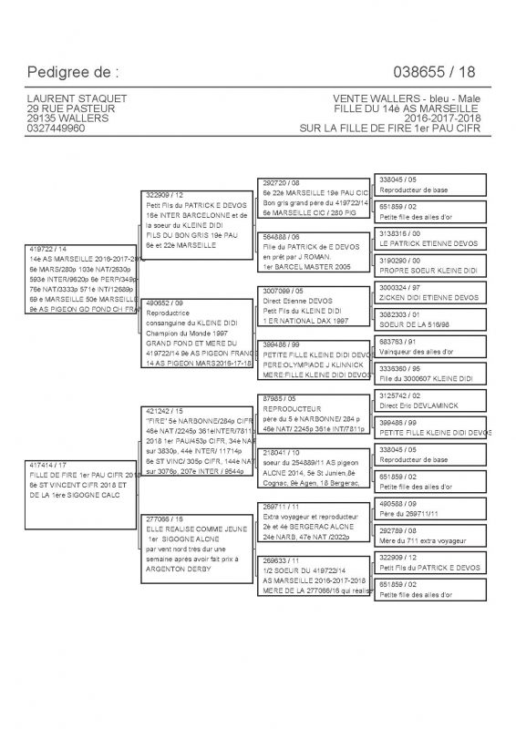 38655 PEDIGREE