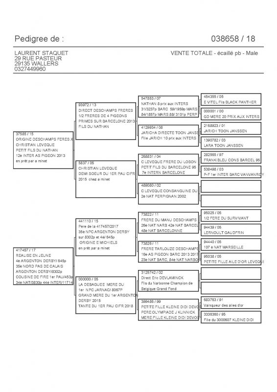 38658 PEDIGREE