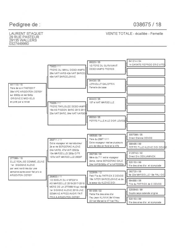 38675 PEDIGREE