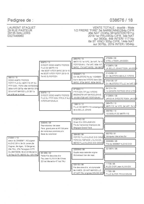 38676 PEDIGREE