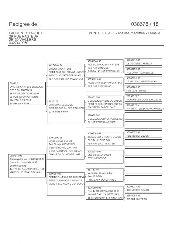 38678 PEDIGREE